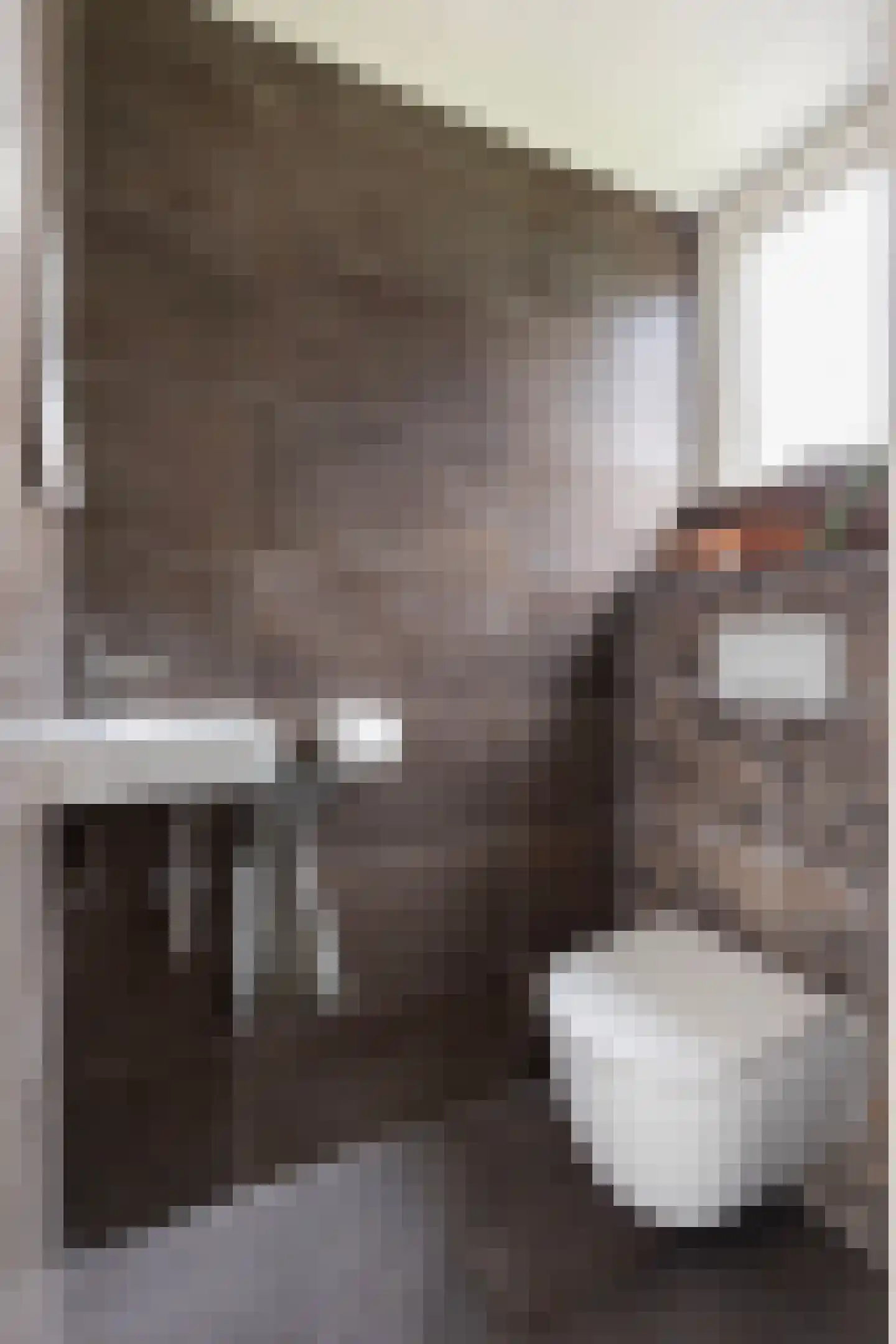 het Duivenslag 32 Oene thumbnail 12