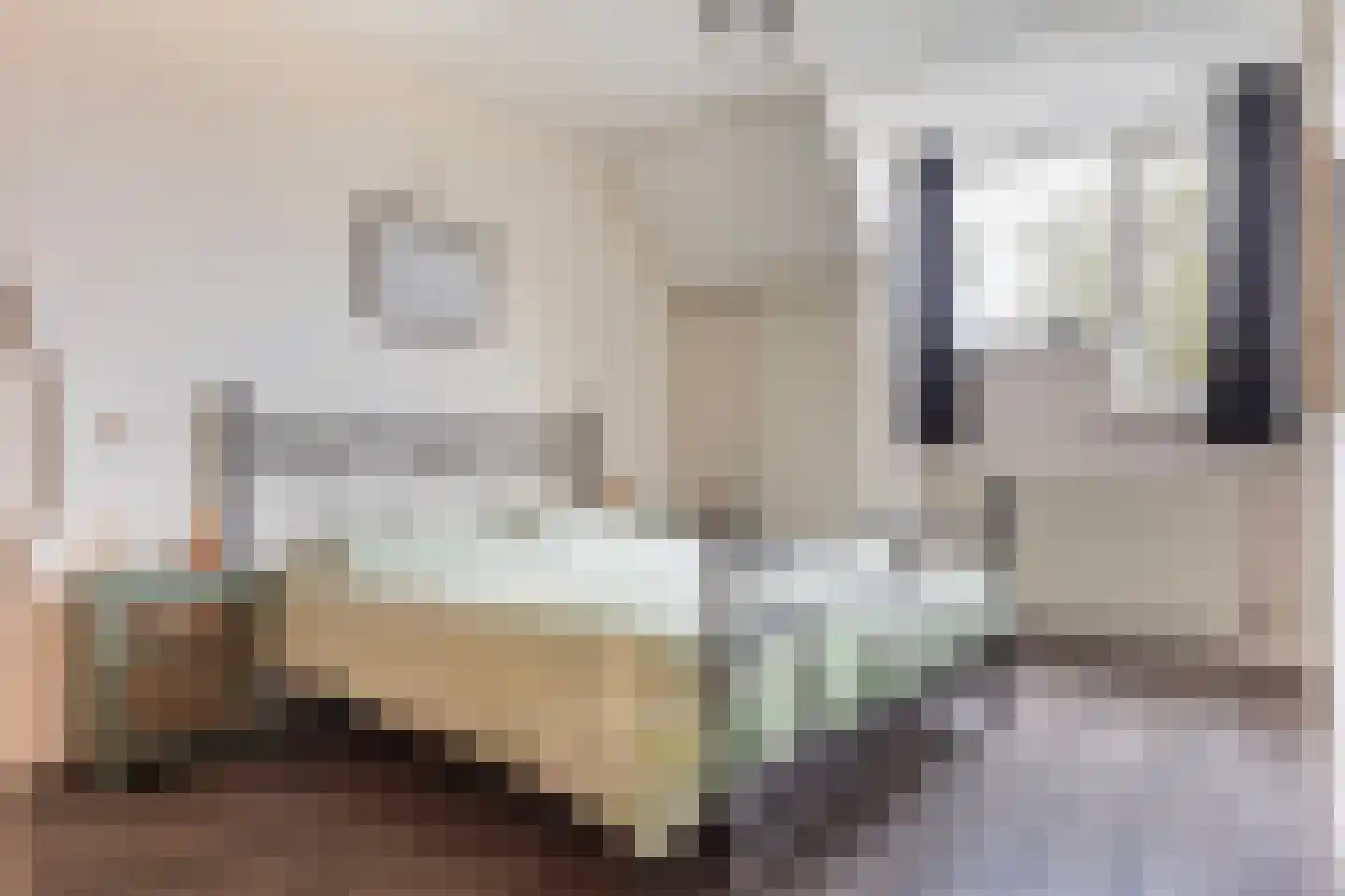 het Duivenslag 32 Oene thumbnail 16