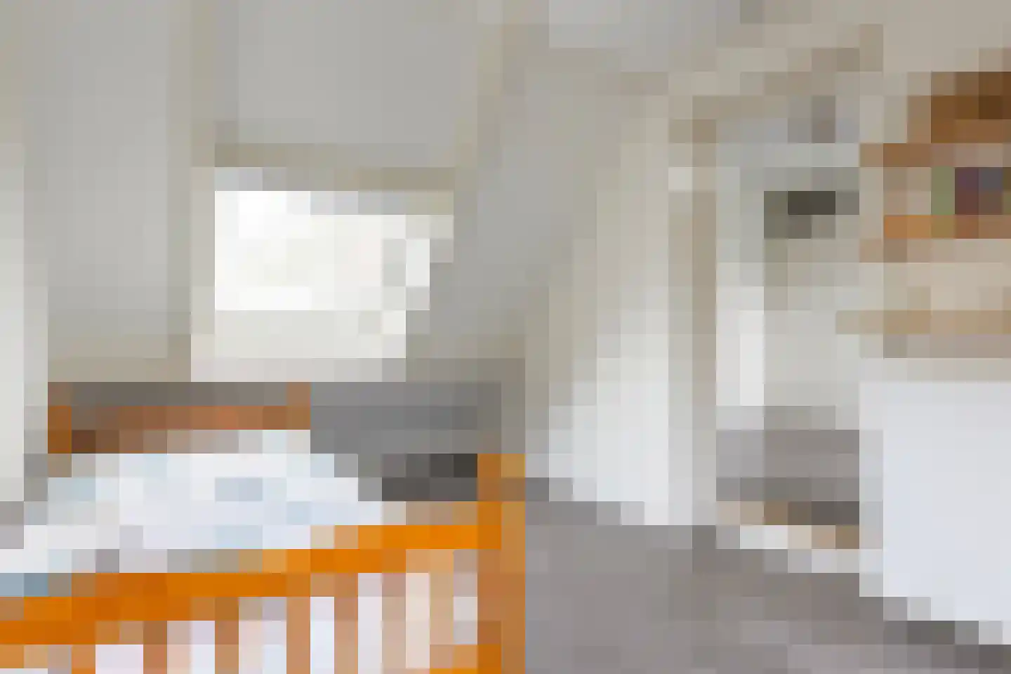 het Duivenslag 32 Oene thumbnail 22