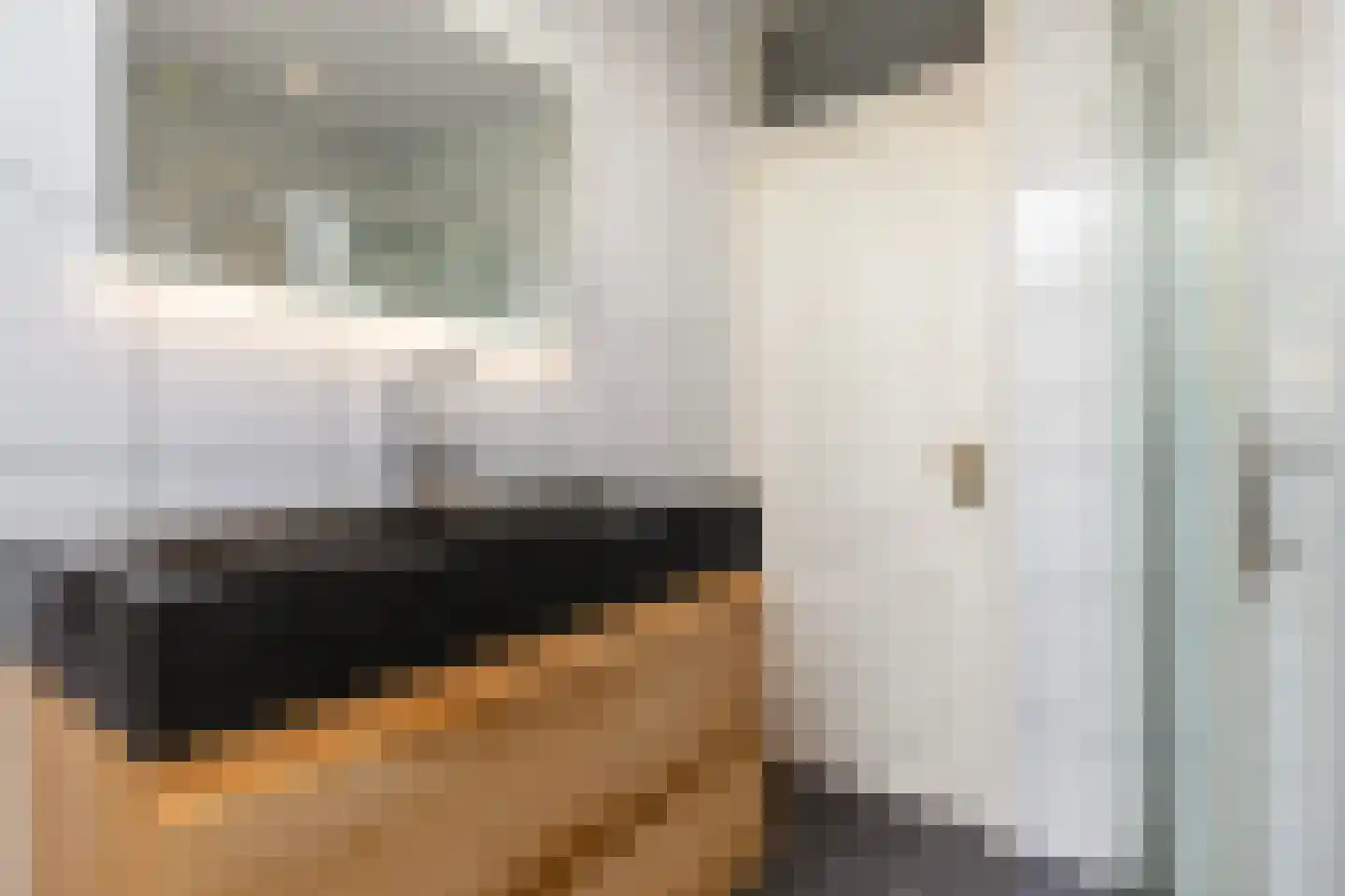het Duivenslag 32 Oene thumbnail 26