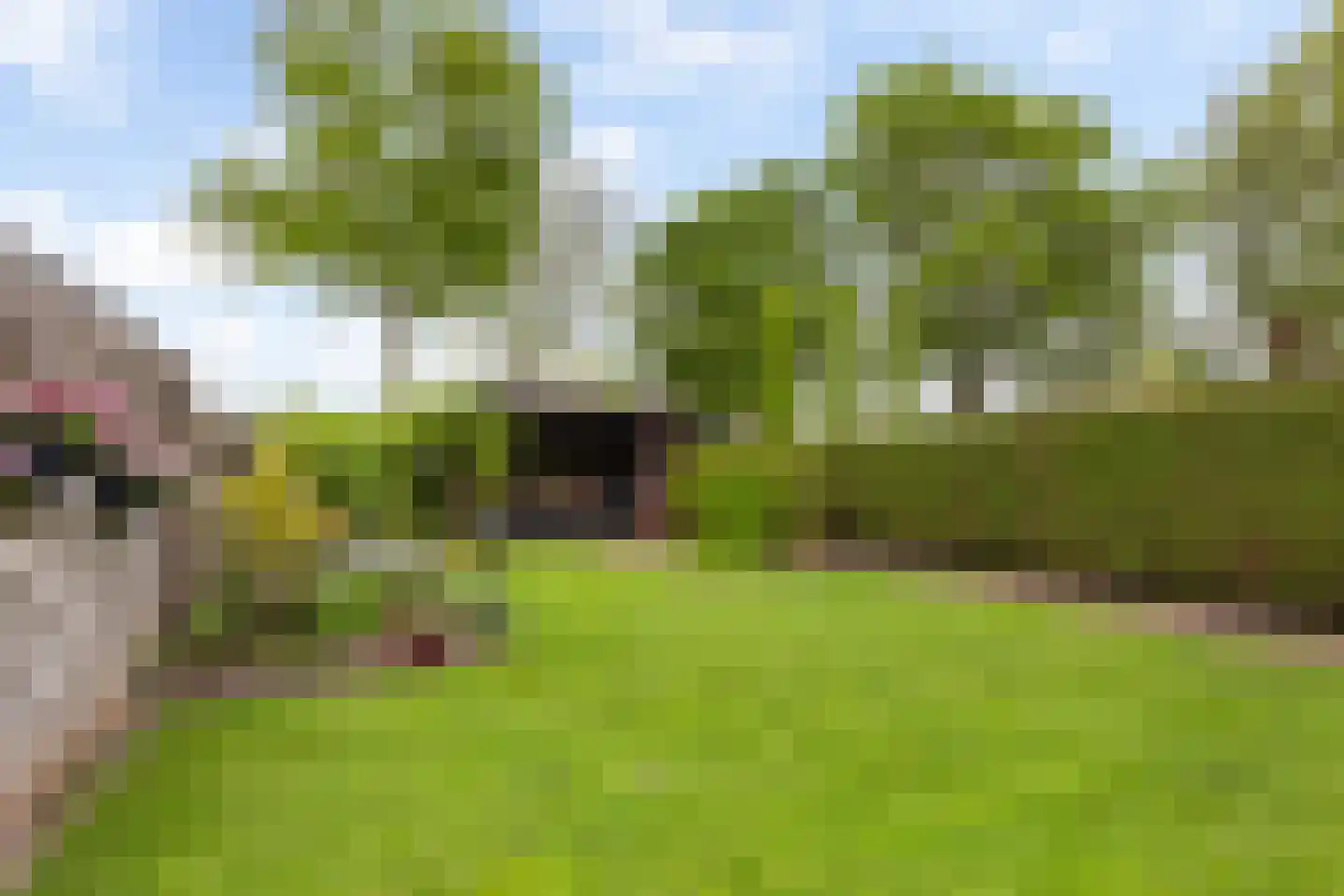 het Duivenslag 32 Oene thumbnail 34