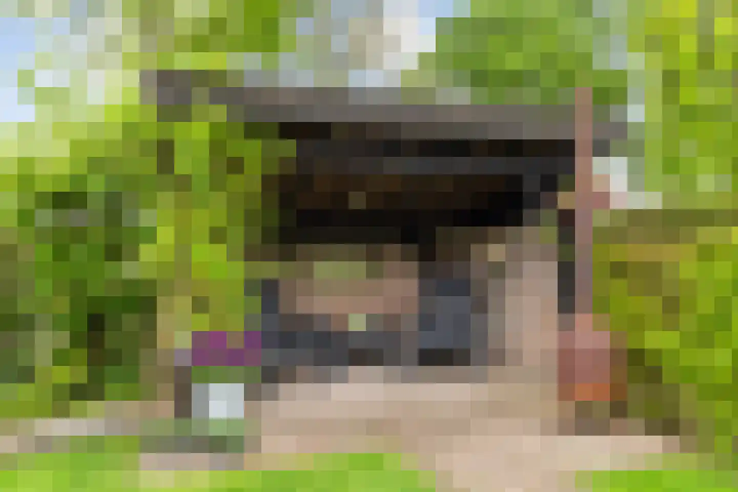 het Duivenslag 32 Oene thumbnail 35