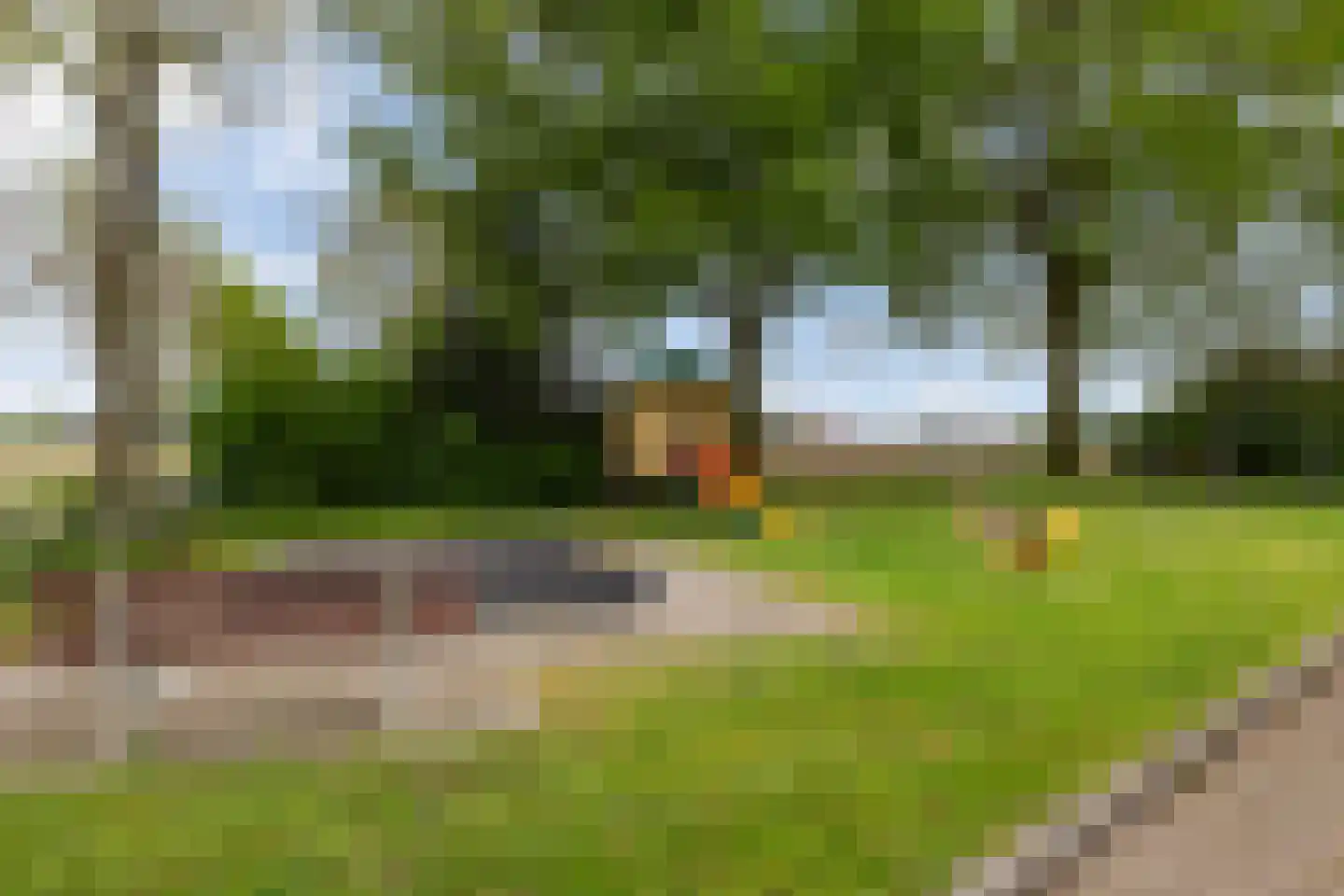 het Duivenslag 32 Oene thumbnail 38