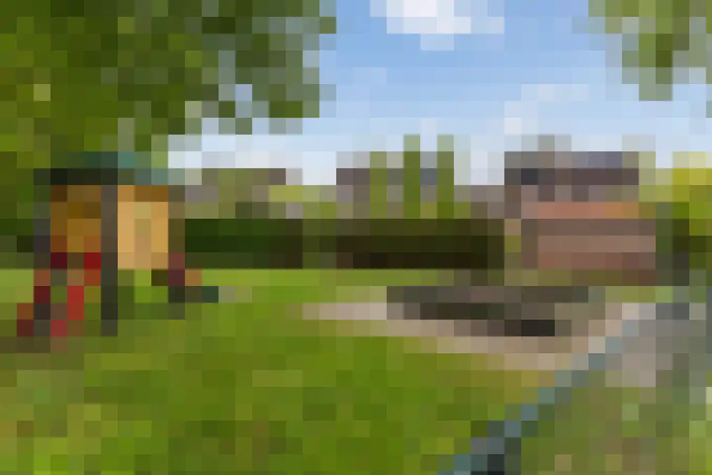 het Duivenslag 32 Oene thumbnail 39