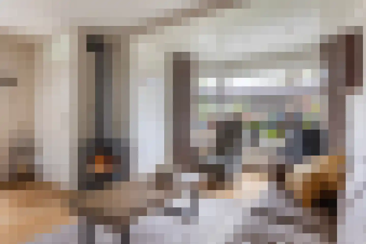 het Duivenslag 32 Oene thumbnail 4