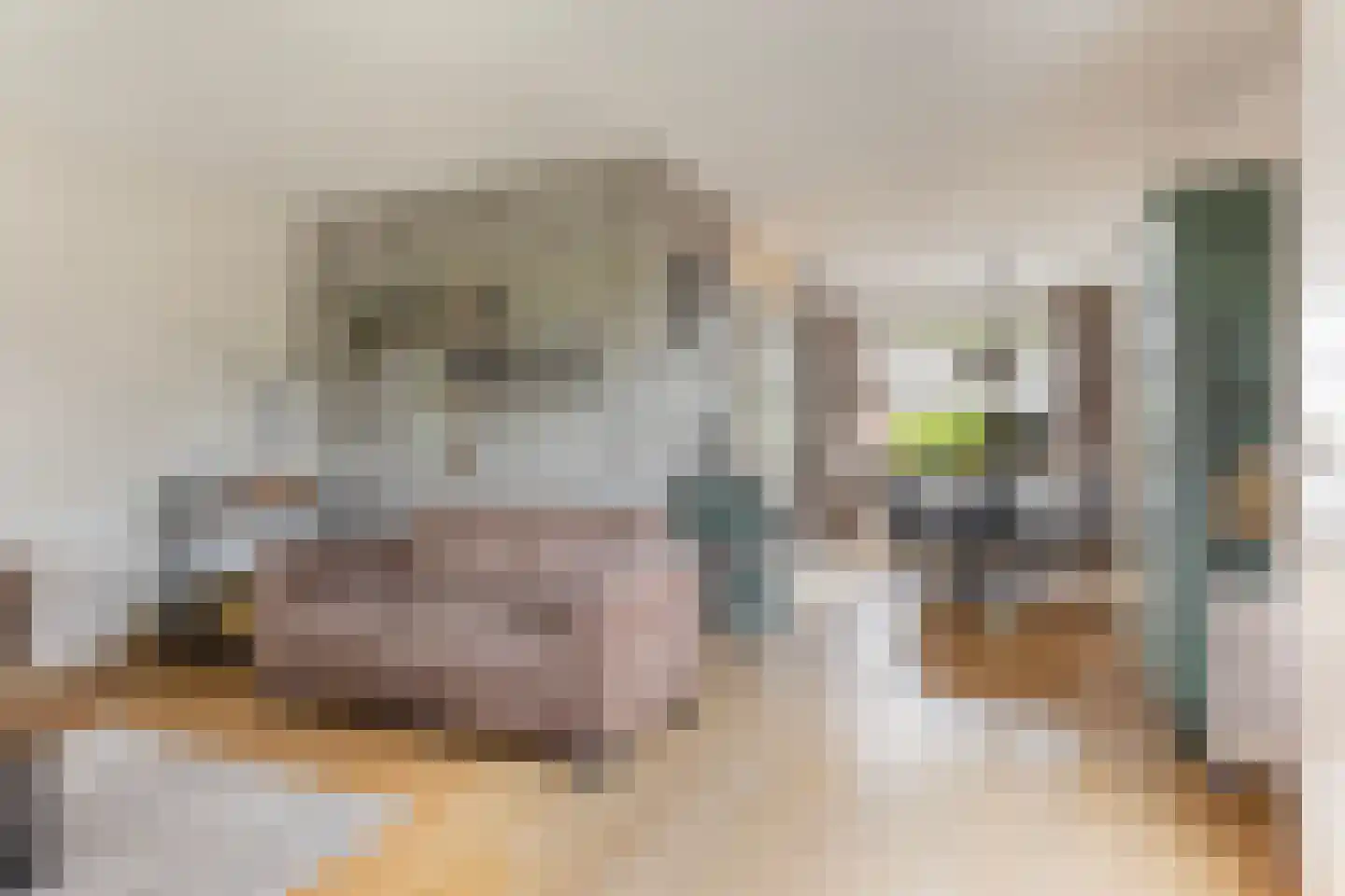 het Duivenslag 32 Oene thumbnail 6