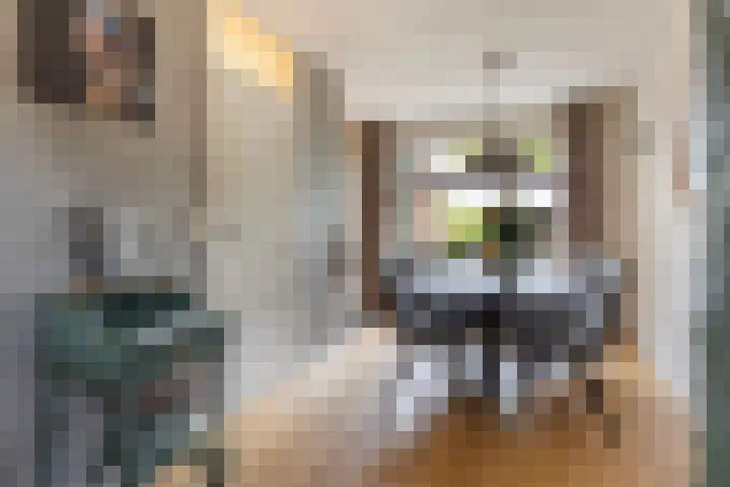 het Duivenslag 32 Oene thumbnail 7