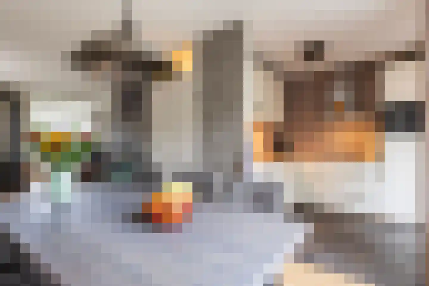 het Duivenslag 32 Oene thumbnail 8