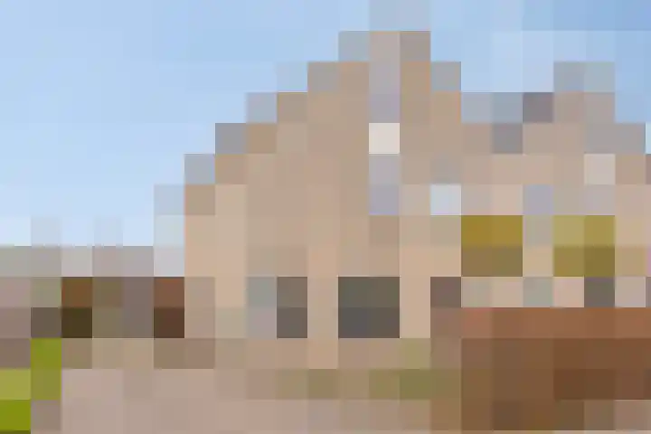 Het eemter 21 Steenwijk