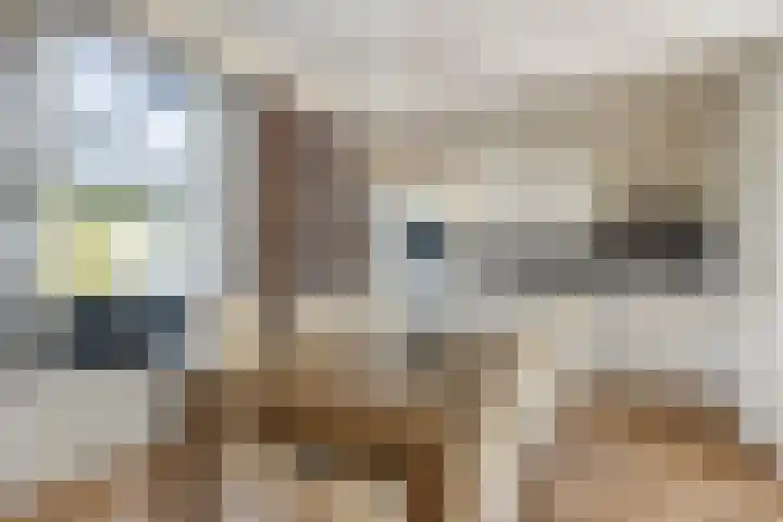 het Eensel 16 Meijel thumbnail 12