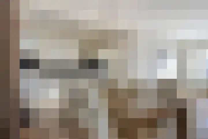 het Eensel 16 Meijel thumbnail 13