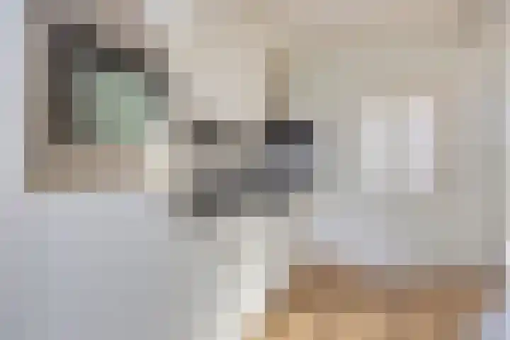 het Eensel 16 Meijel thumbnail 15
