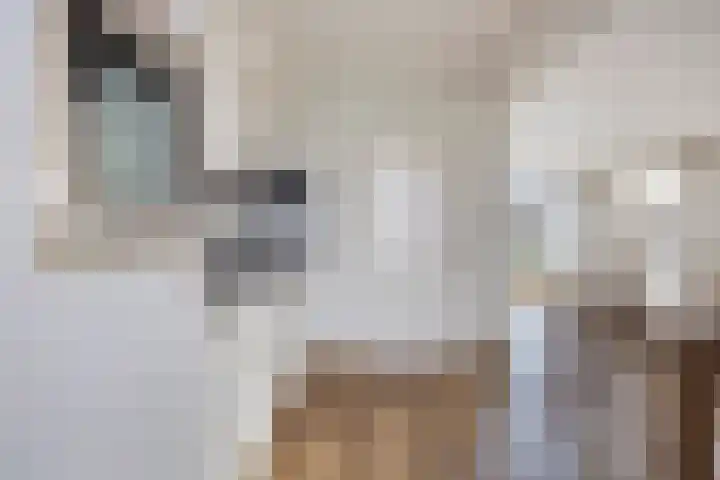 het Eensel 16 Meijel thumbnail 16