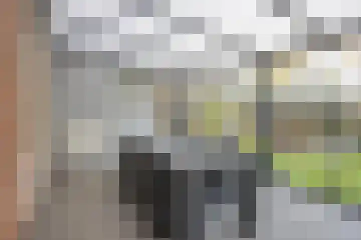 het Eensel 16 Meijel thumbnail 17