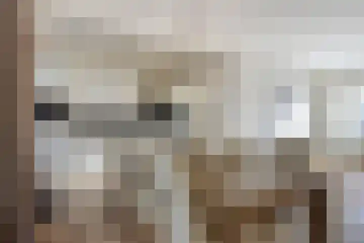het Eensel 16 Meijel foto 2
