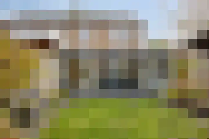het Eensel 16 Meijel foto 3