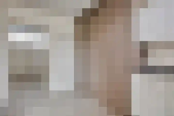 het Eensel 16 Meijel thumbnail 31