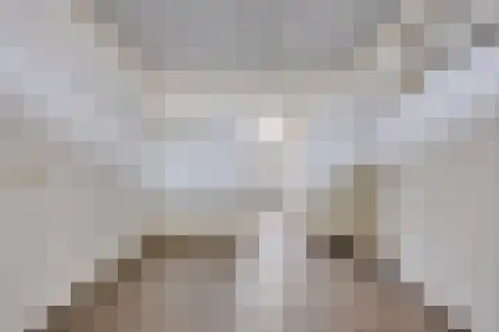 het Eensel 16 Meijel thumbnail 33