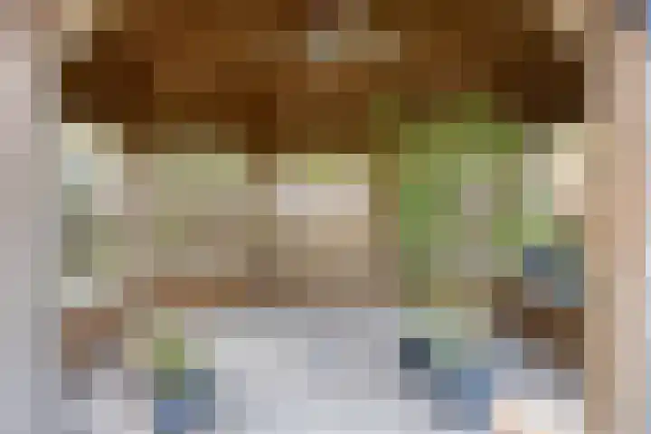 het Eensel 16 Meijel thumbnail 37