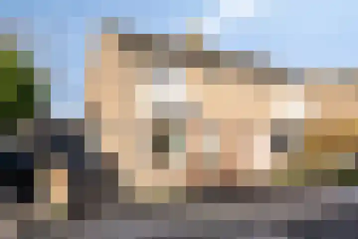 het Eensel 16 Meijel thumbnail 39