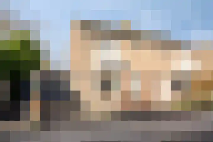 het Eensel 16 Meijel thumbnail 40
