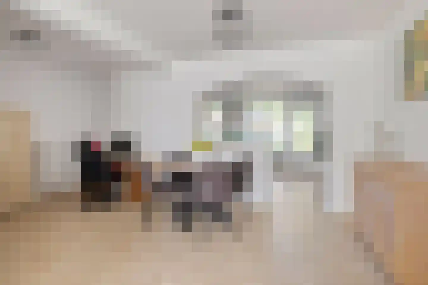 het Eensel 6 Meijel thumbnail 10