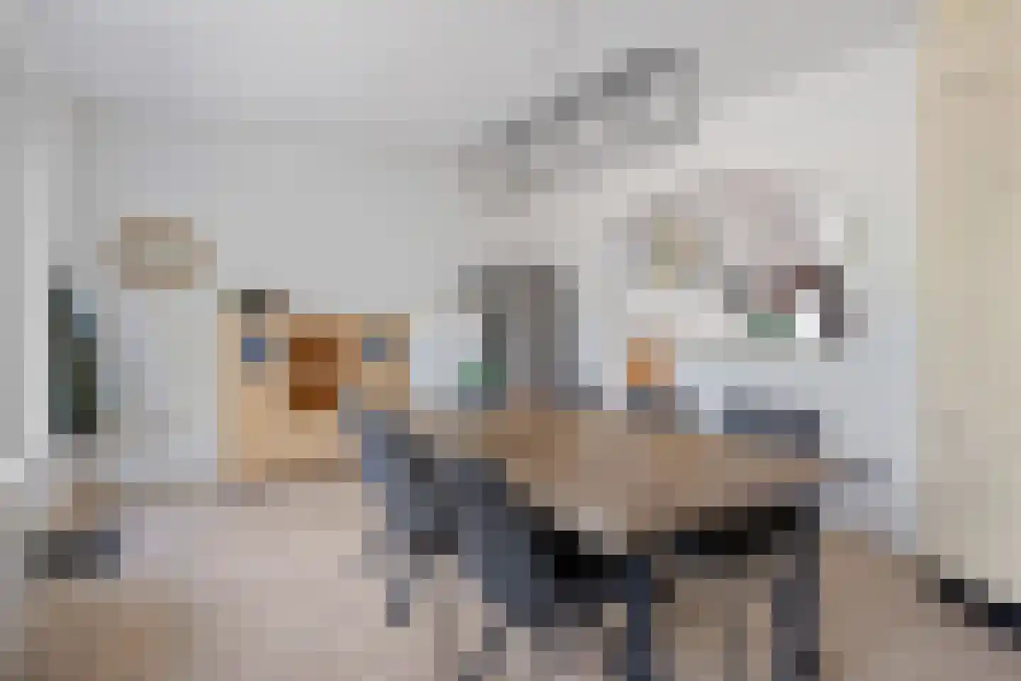 het Eensel 6 Meijel thumbnail 13