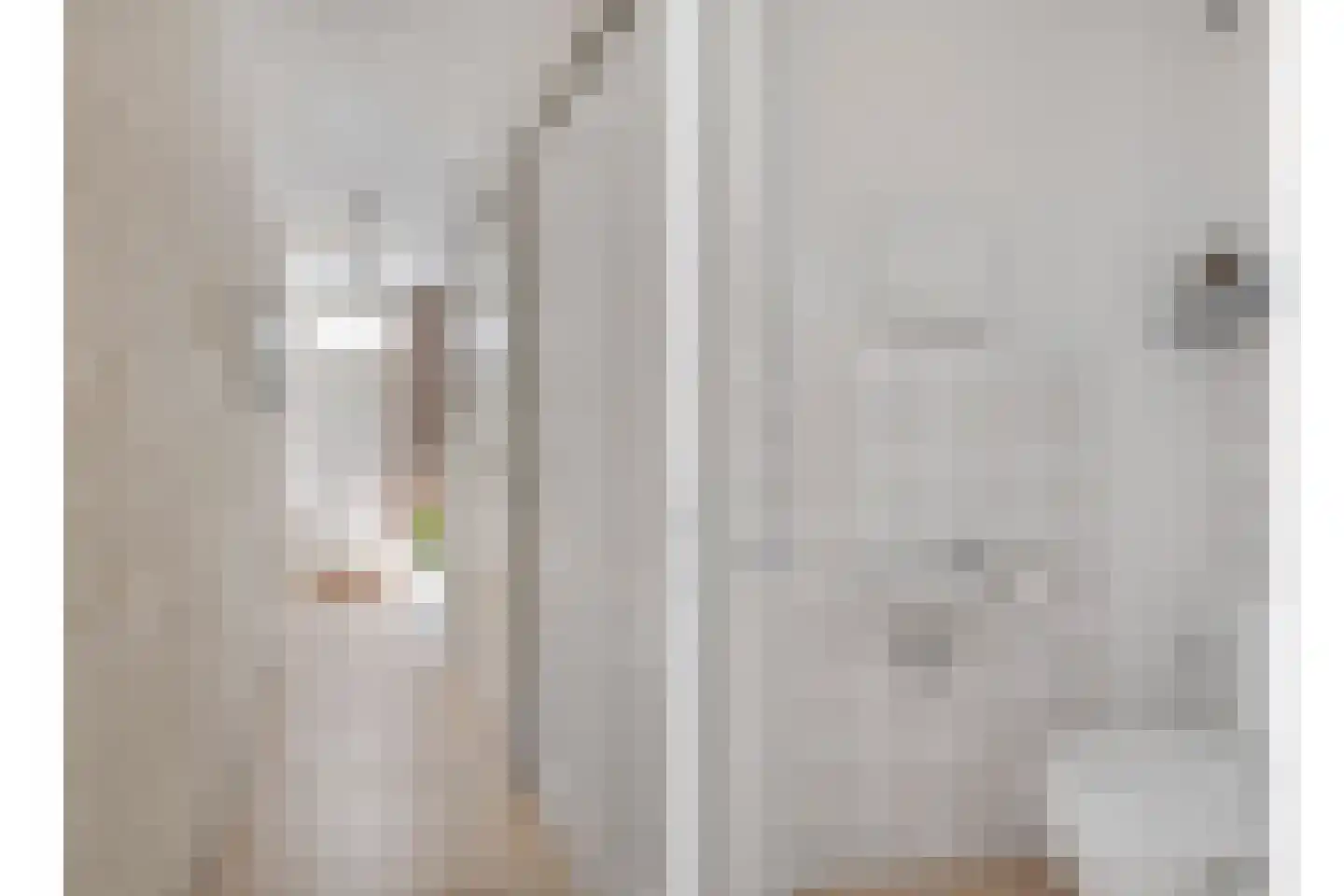 het Eensel 6 Meijel thumbnail 17
