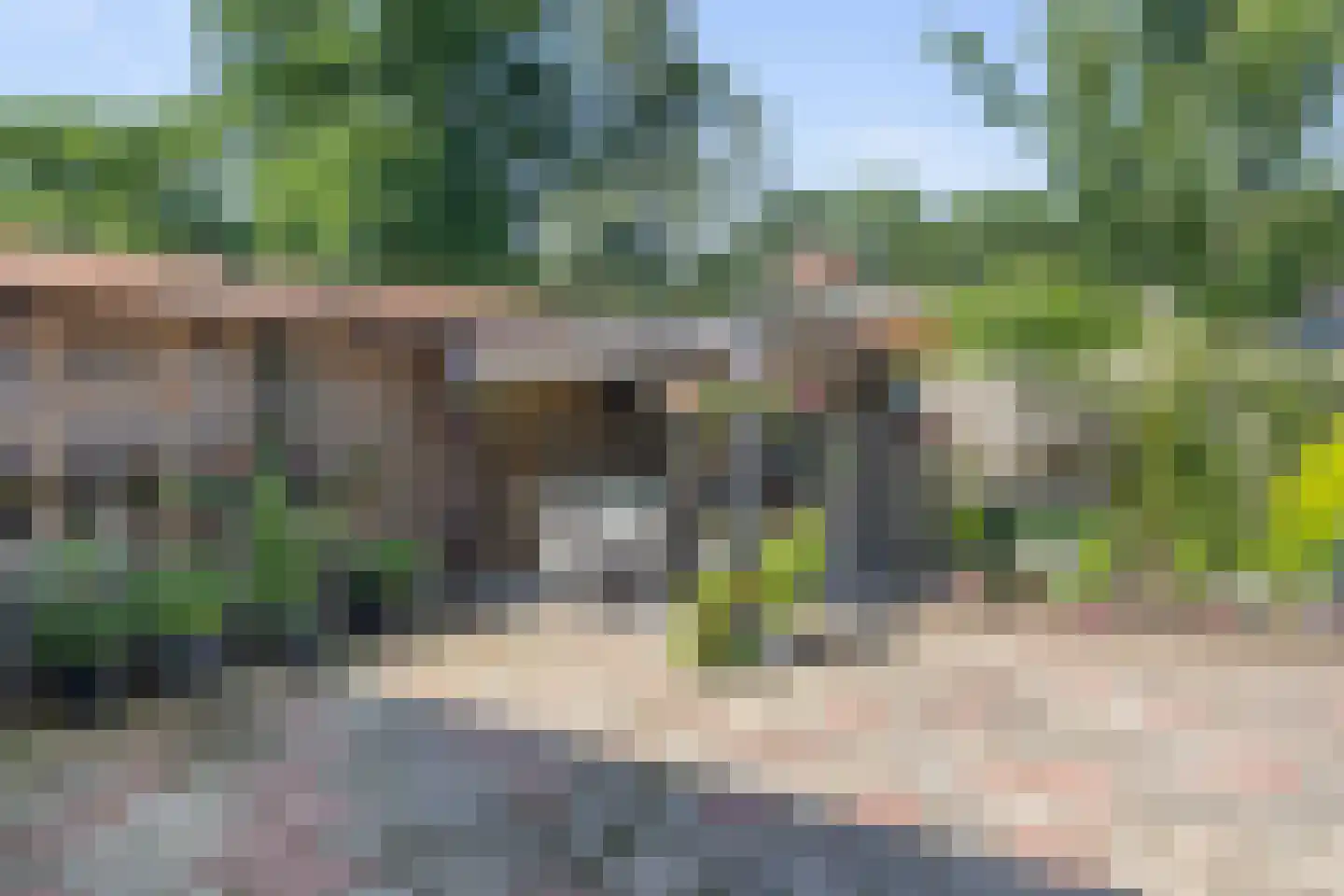 het Eensel 6 Meijel thumbnail 27