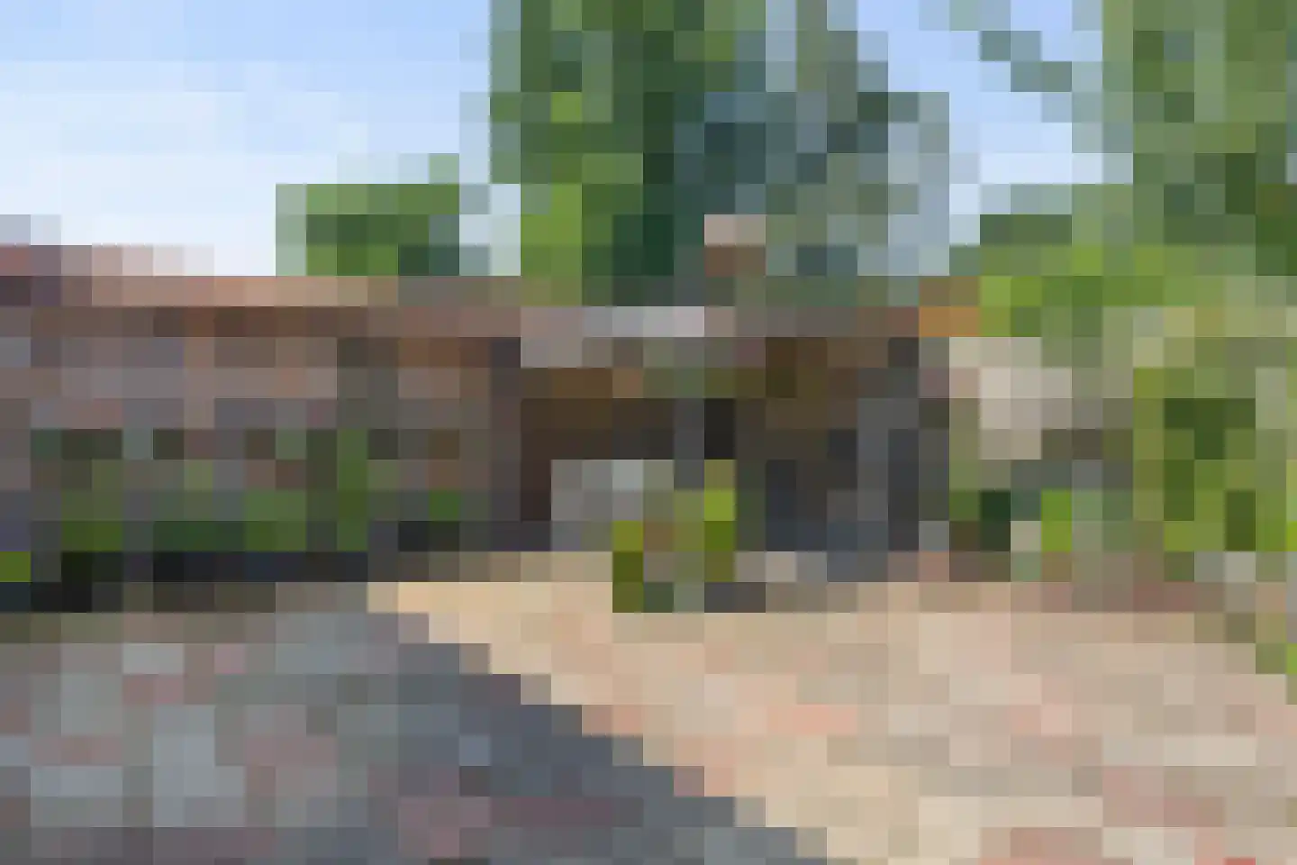het Eensel 6 Meijel thumbnail 28