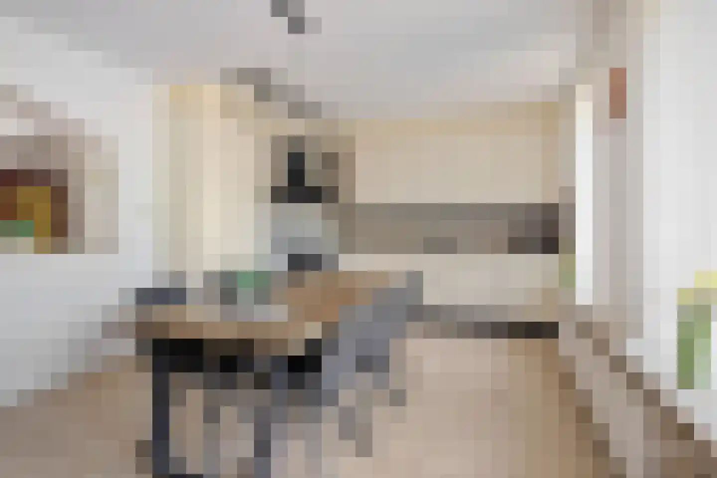 het Eensel 6 Meijel foto 3