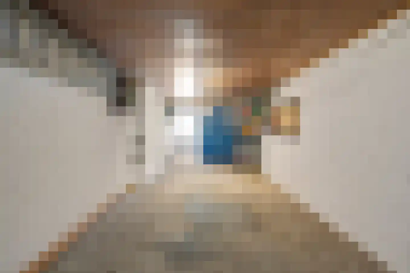 het Eensel 6 Meijel thumbnail 33
