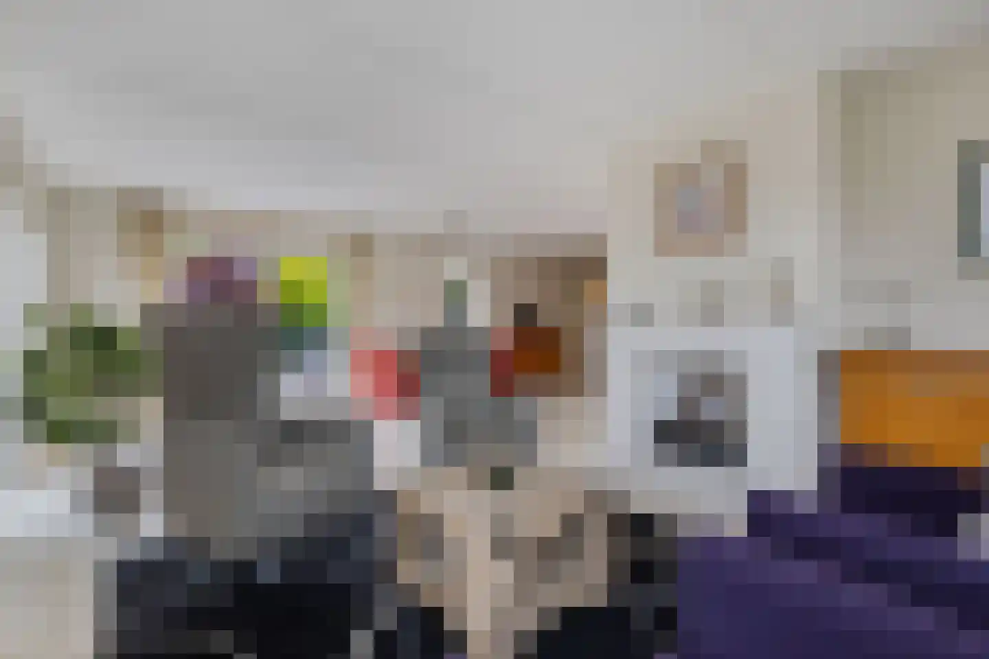 Het eenspan 20 Steenwijk thumbnail 11