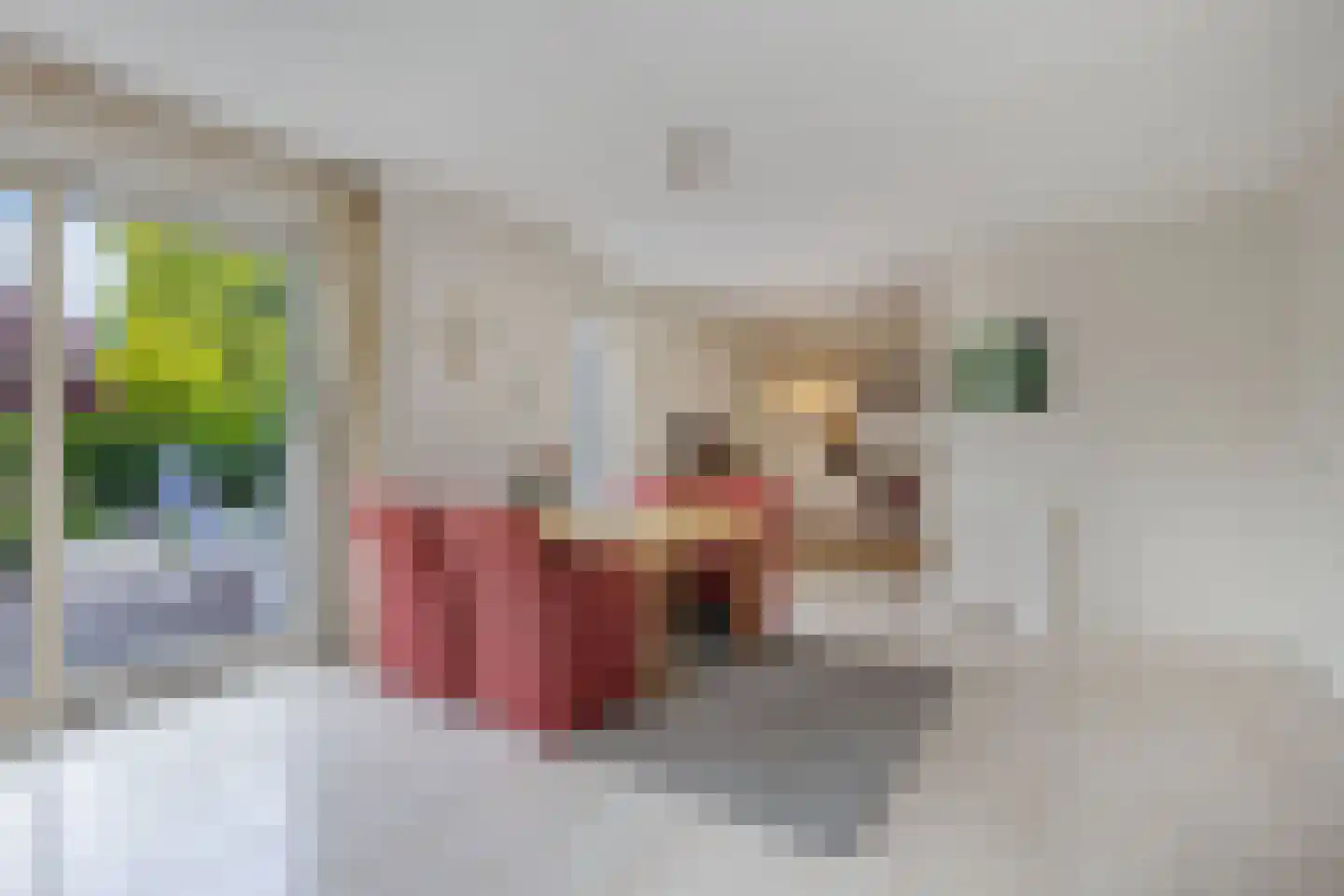 Het eenspan 20 Steenwijk thumbnail 13
