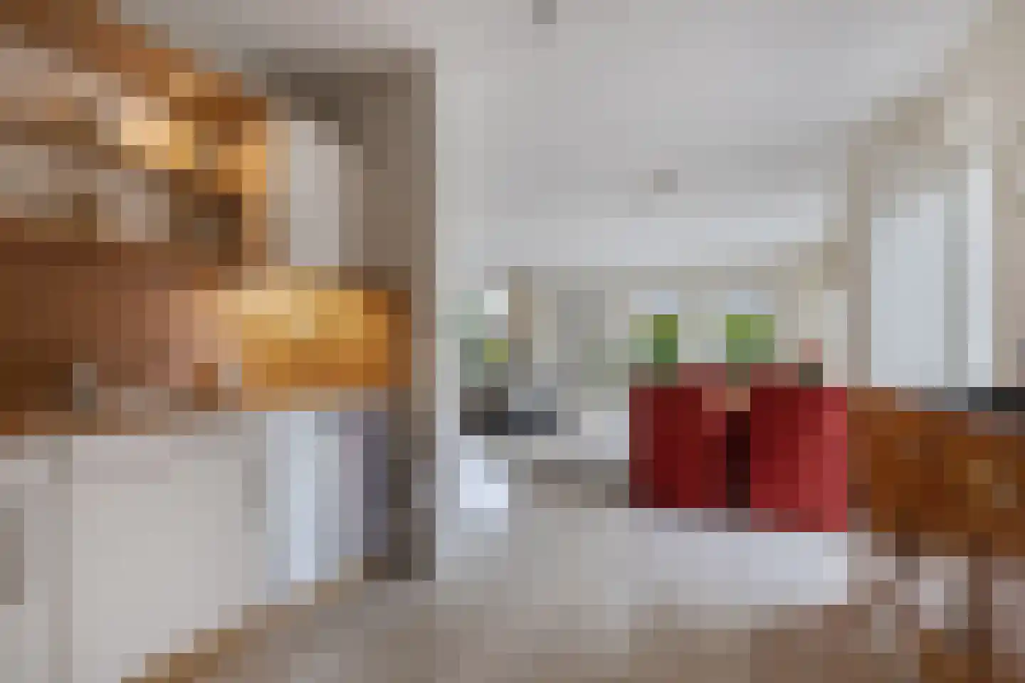 Het eenspan 20 Steenwijk thumbnail 14