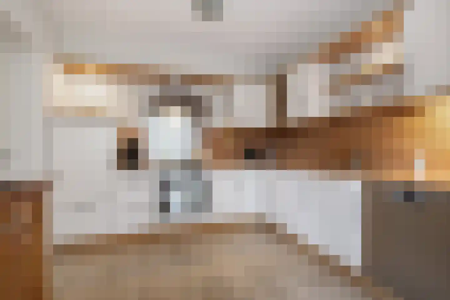 Het eenspan 20 Steenwijk thumbnail 15