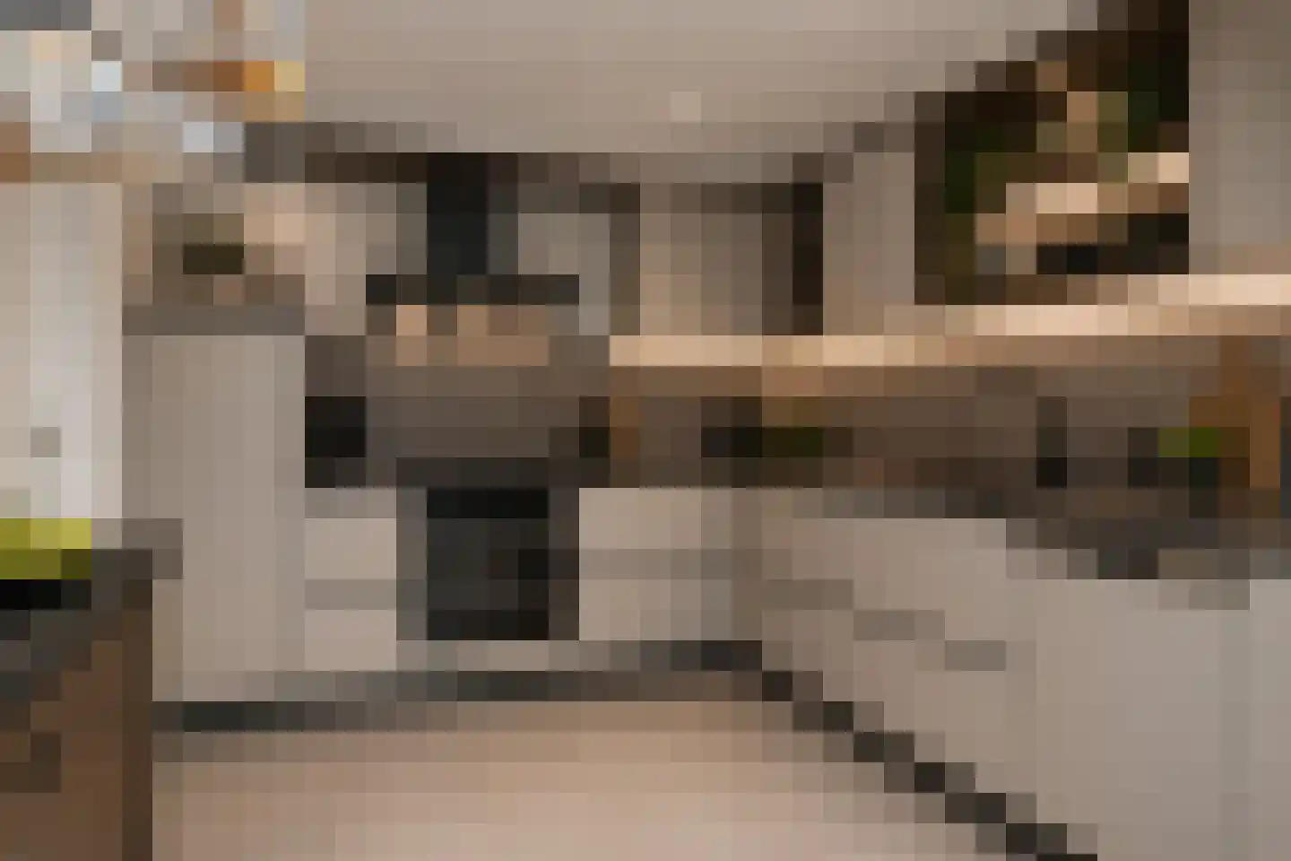 Het eenspan 20 Steenwijk thumbnail 16