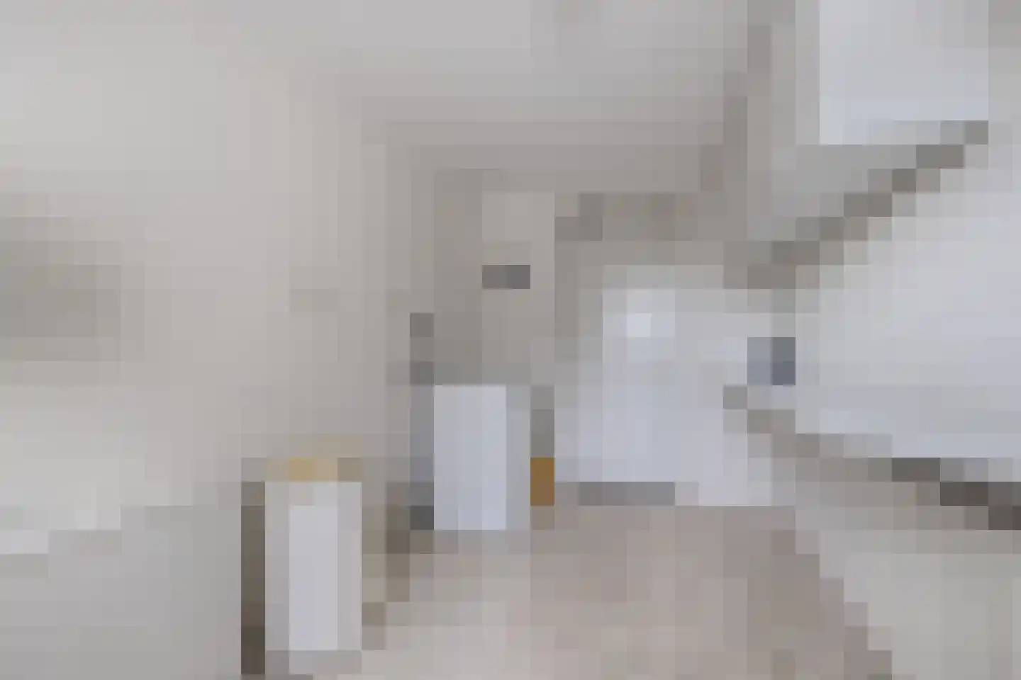 Het eenspan 20 Steenwijk thumbnail 17