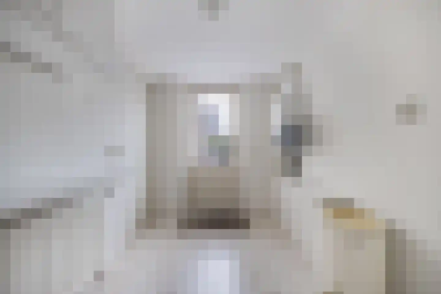 Het eenspan 20 Steenwijk thumbnail 18