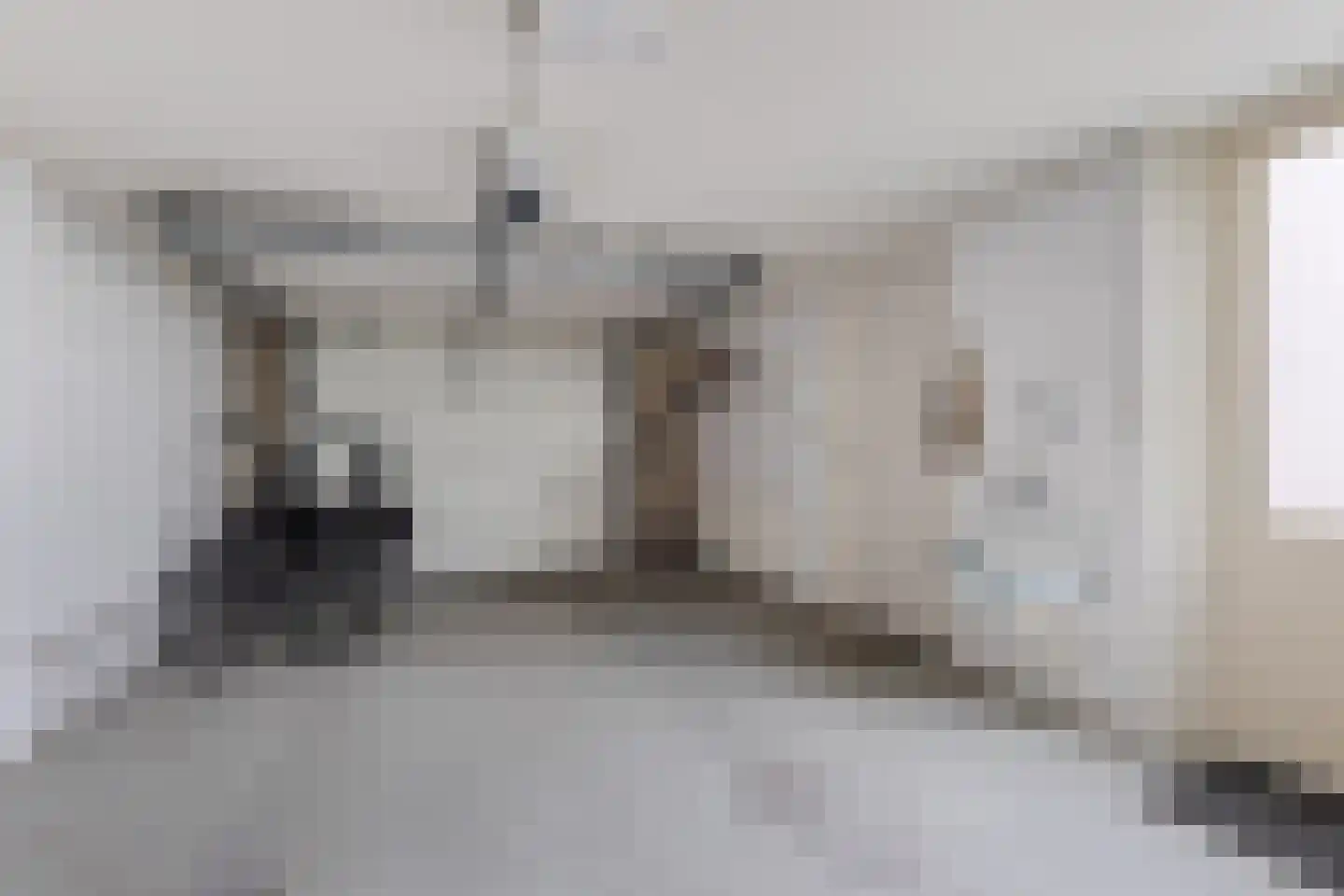 Het eenspan 20 Steenwijk thumbnail 19