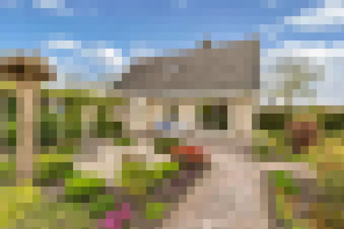 Het eenspan 20 Steenwijk foto 2