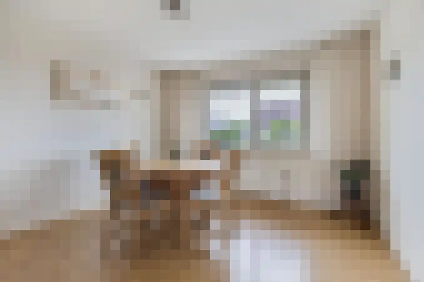 Het eenspan 20 Steenwijk thumbnail 20