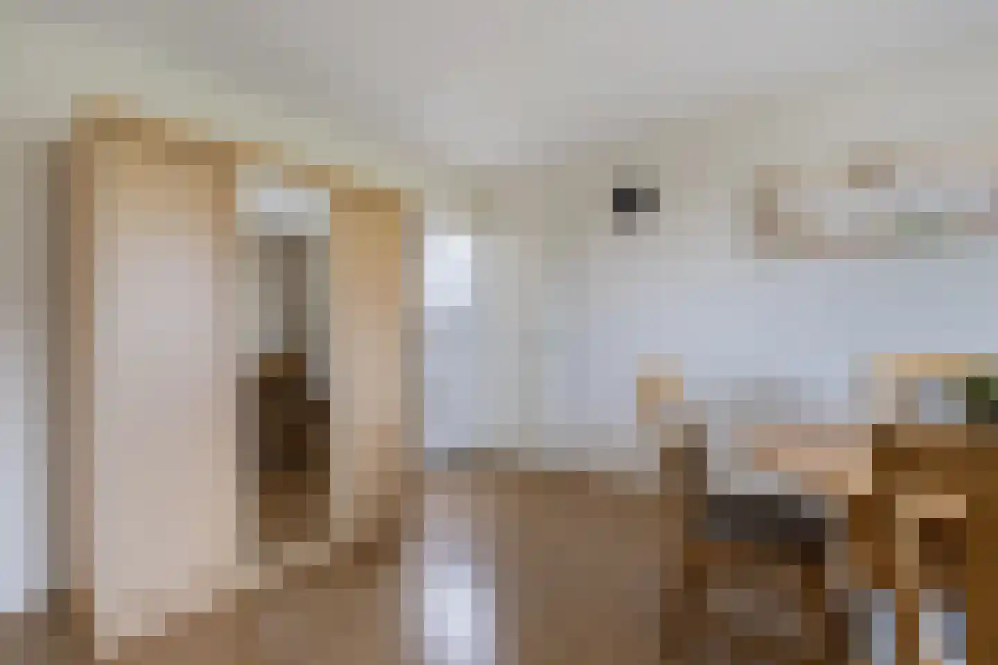 Het eenspan 20 Steenwijk thumbnail 21