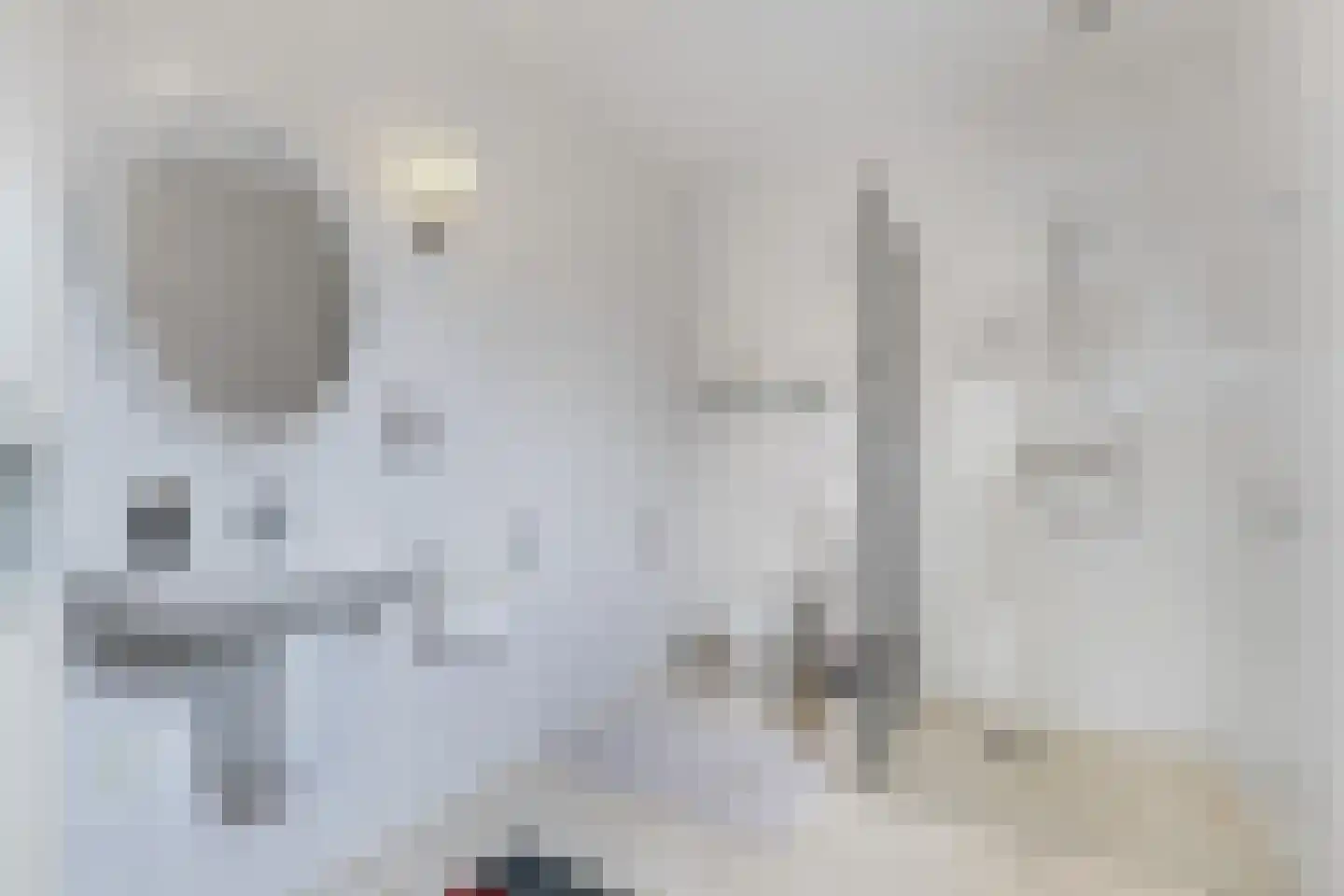 Het eenspan 20 Steenwijk thumbnail 22