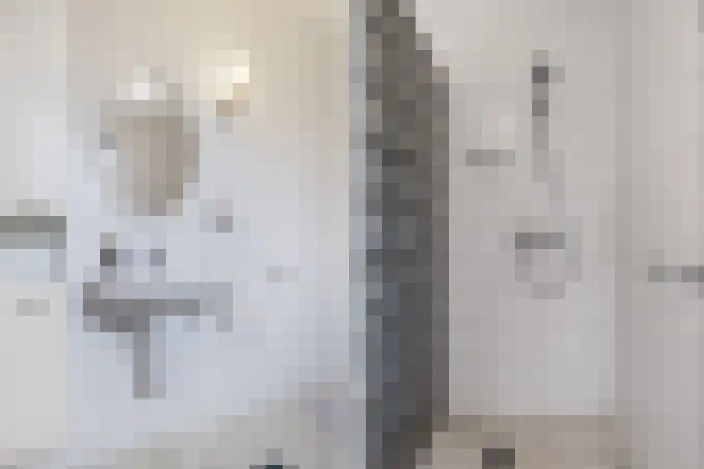 Het eenspan 20 Steenwijk thumbnail 23