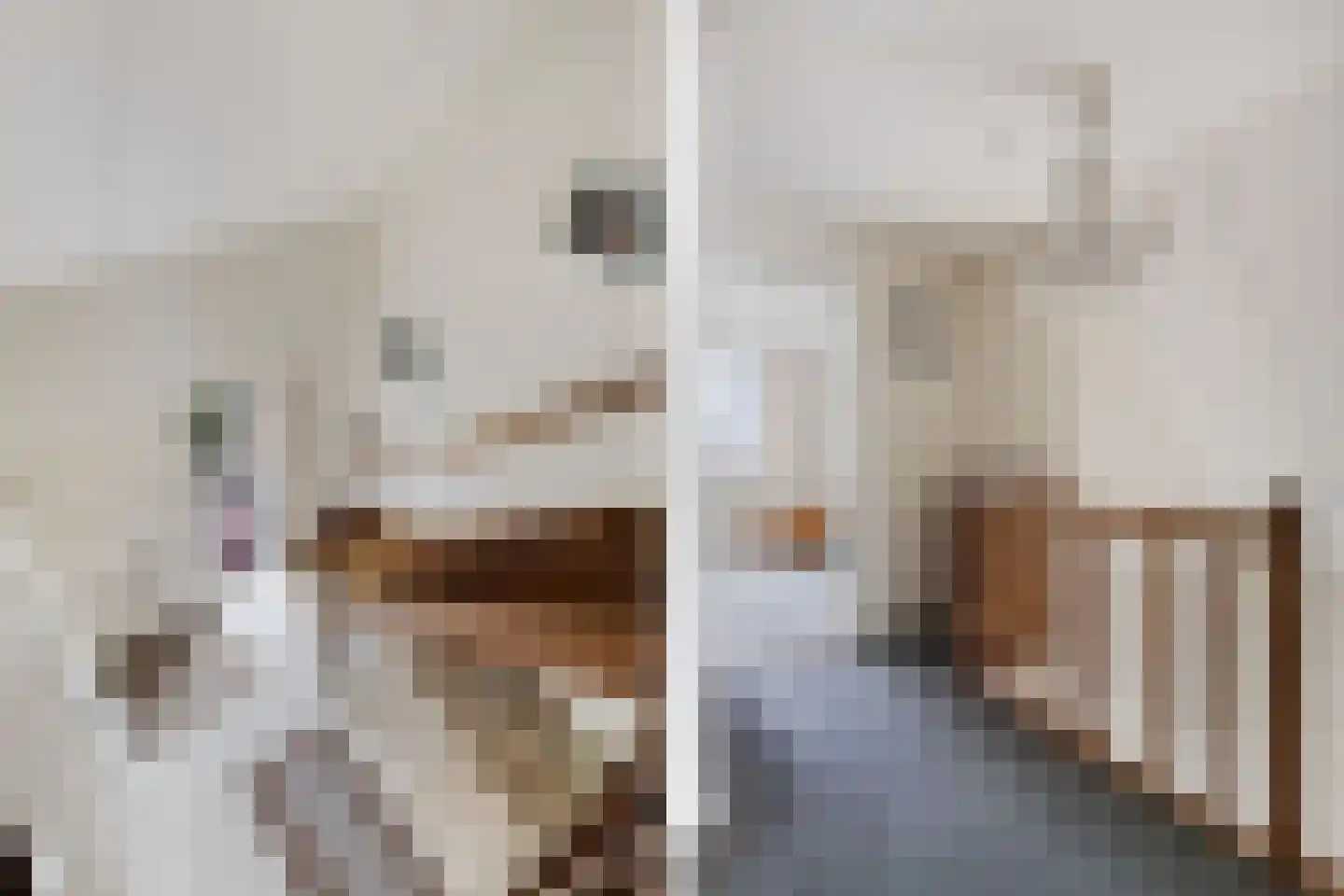 Het eenspan 20 Steenwijk thumbnail 24