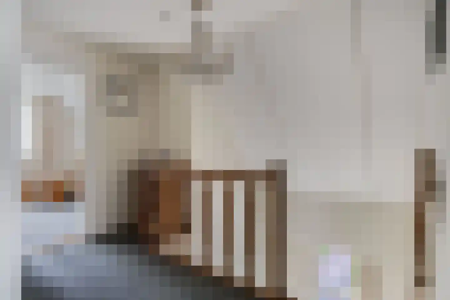 Het eenspan 20 Steenwijk thumbnail 25