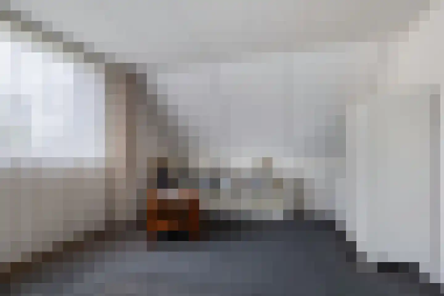 Het eenspan 20 Steenwijk thumbnail 27