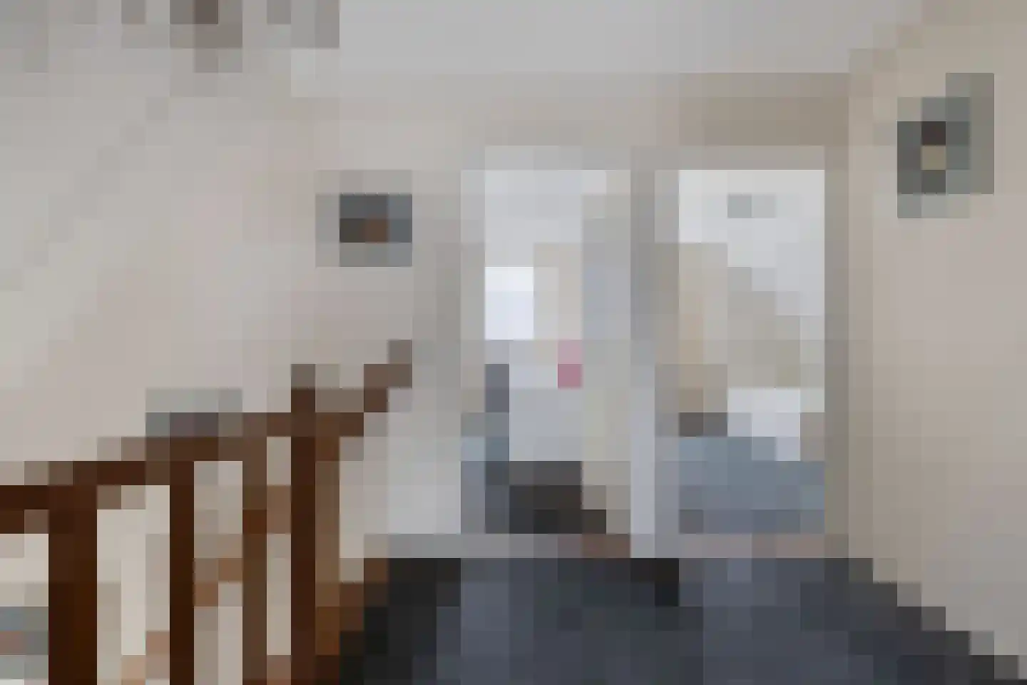 Het eenspan 20 Steenwijk thumbnail 29