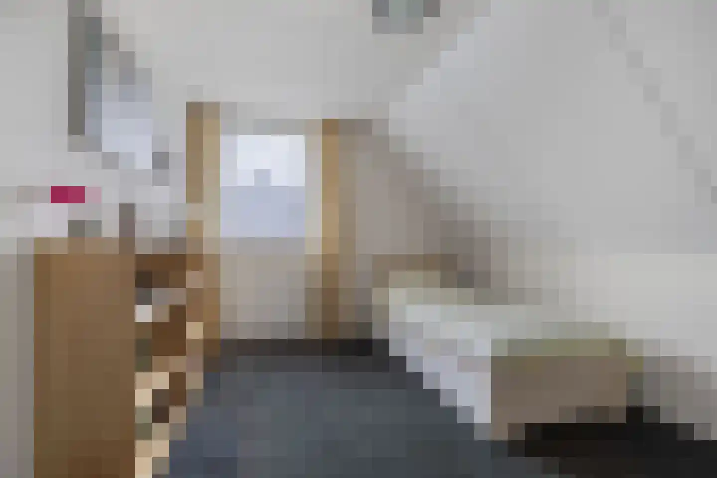 Het eenspan 20 Steenwijk thumbnail 30